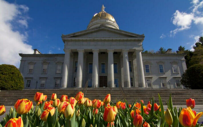 Vermont State Capitol with a golden dome, framed by blooming tulips in the foreground.