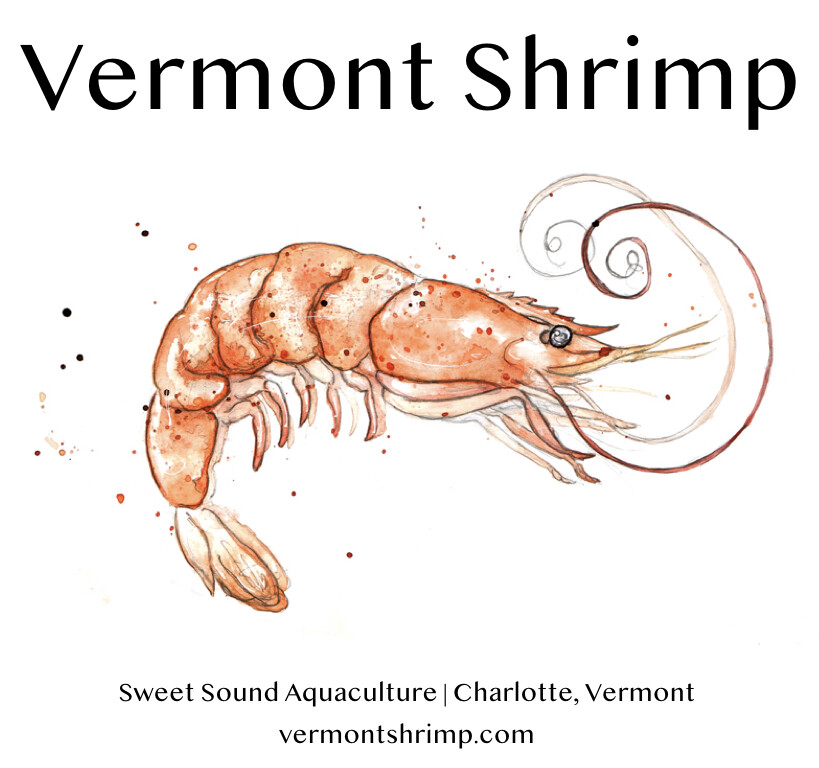 Illustration of a shrimp labeled "Vermont Shrimp" with details about its aquaculture.